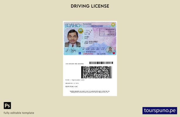 Plantilla de licencia de conducir lista para imprimir de EE. UU., Idaho